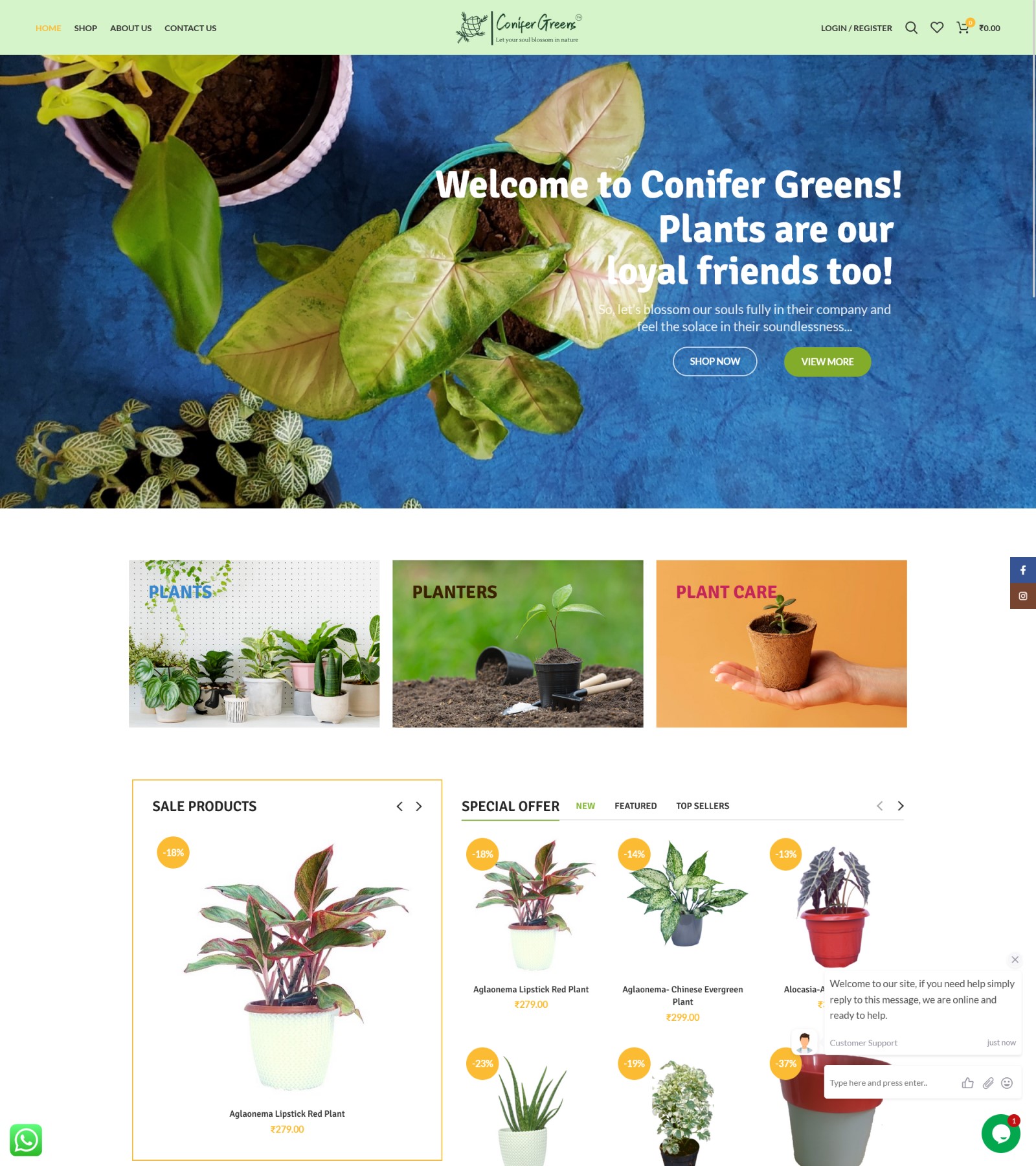 ecommerce website development conifer greens