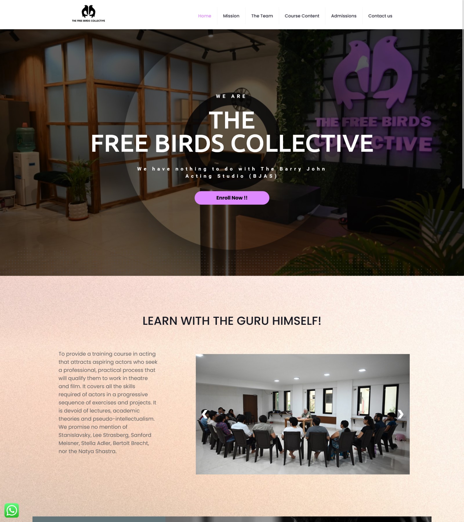 the free birds collective